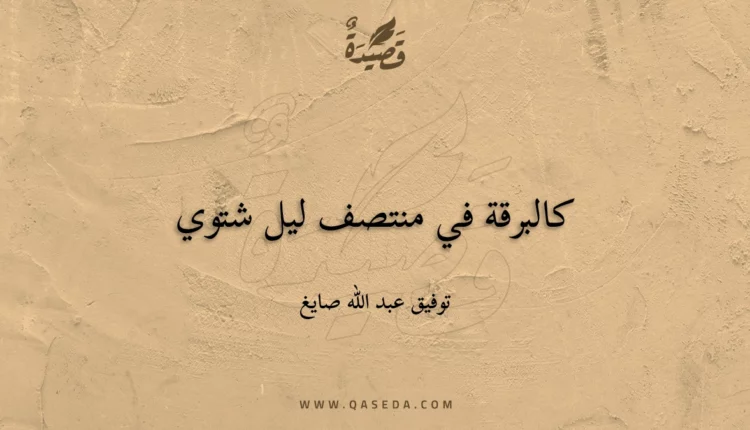 قصيدة كالبرقة في منتصف ليل شتوي
