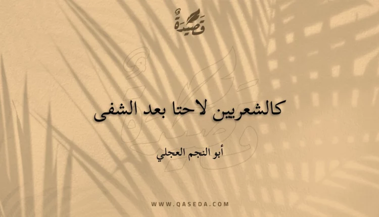 قصيدة كالشعريين لاحتا بعد الشفى