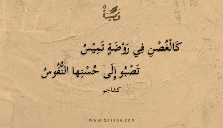 قصيدة كالغصن في روضة تميس