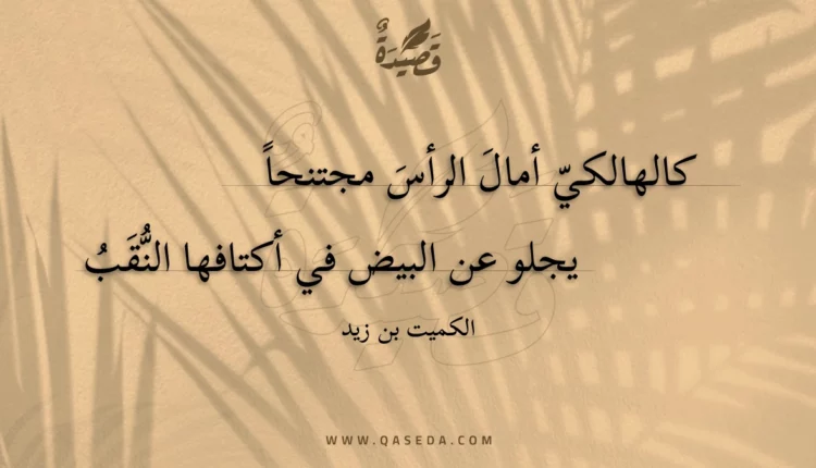 قصيدة كالهالكي أمال الرأس مجتنحا