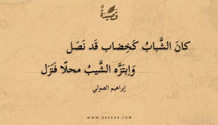 قصيدة كان الشباب كخضاب قد نصل