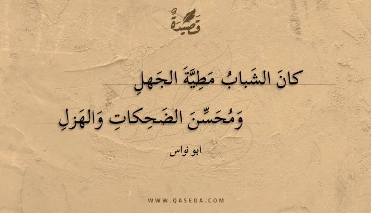 قصيدة كان الشباب مطية الجهل