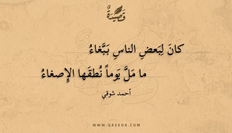 قصيدة كان لبعض الناس ببغاء