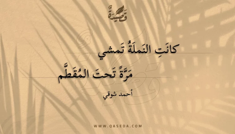 قصيدة كانت النملة تمشي