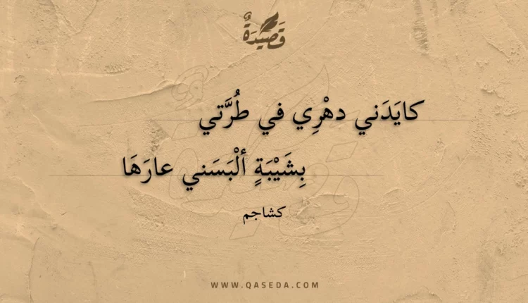 قصيدة كايدني دهري في طرتي