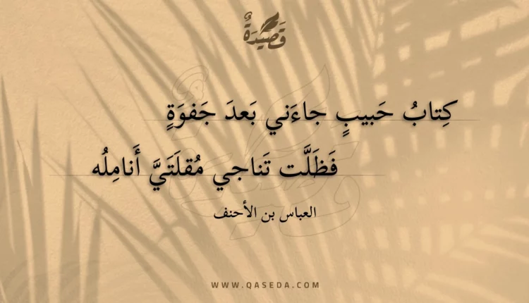 قصيدة كتاب حبيب جاءني بعد جفوة
