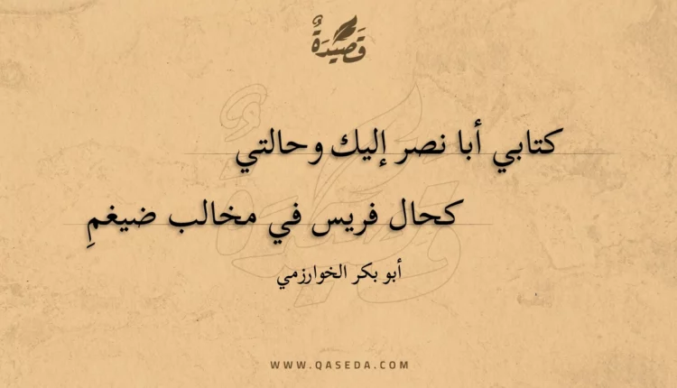 قصيدة كتابي أبا نصر إليك وحالتي