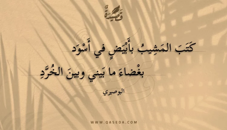 قصيدة كتب المشيب بأبيض في أسود