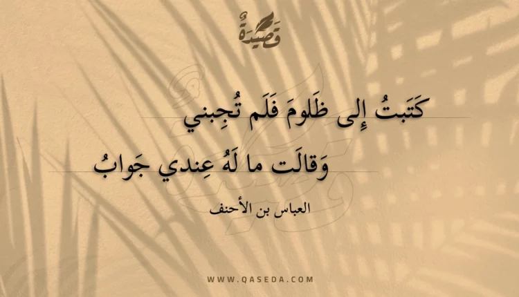 قصيدة كتبت إلى ظلوم فلم تجبني