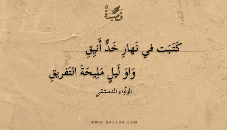 قصيدة كتبت في نهار خد أنيق