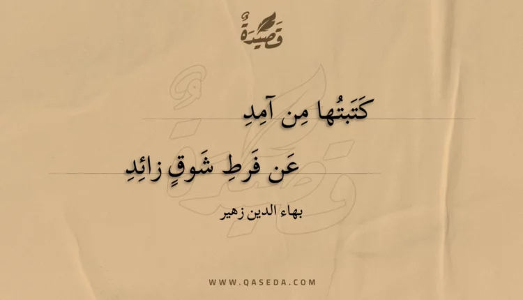 قصيدة كتبتها من آمد