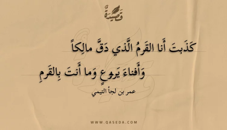 قصيدة كذبت أنا القرم الذي دق مالكا