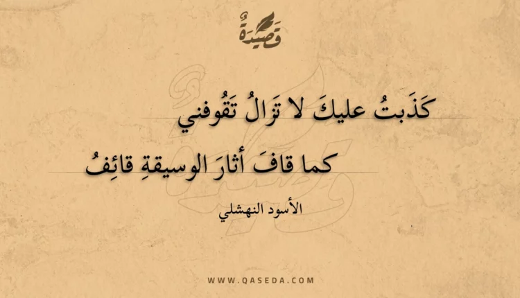 قصيدة كذبتُ عليك لا تزال تُقوفني