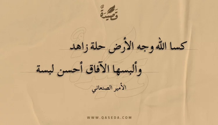 قصيدة كسا الله وجه الأرض حلة زاهد