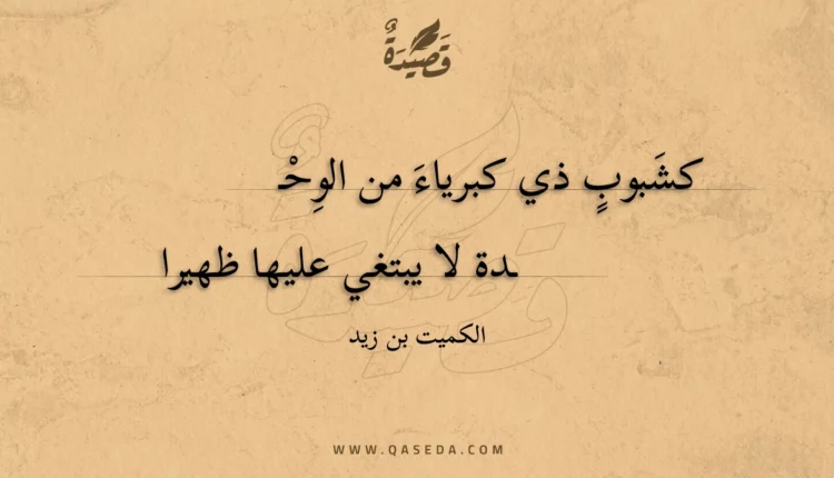 قصيدة كشبوب ذي كبرياء من