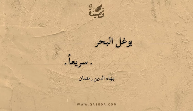 قصيدة كشف