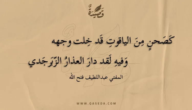 قصيدة كصحن من الياقوت قد خلت وجهه