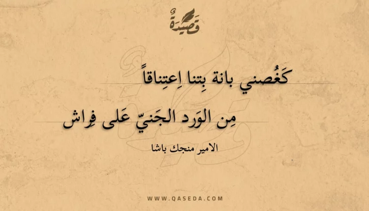 قصيدة كغصني بانة بتنا اعتناقا