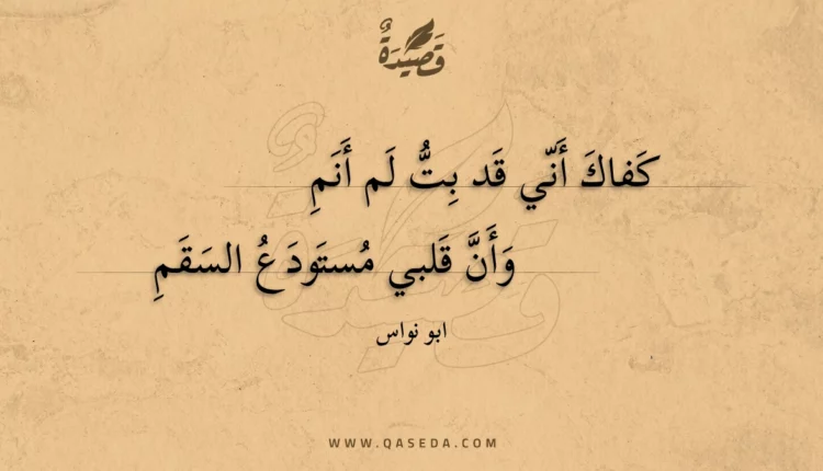 قصيدة كفاك أني قد بت لم أنم