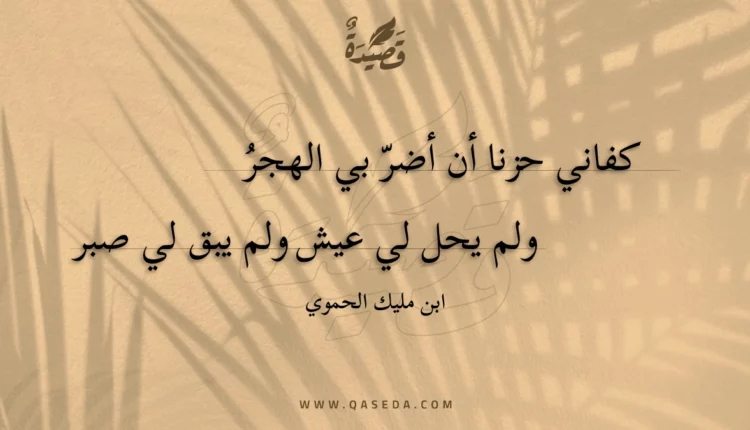 قصيدة كفاني حزنا أن أضر بي الهجر