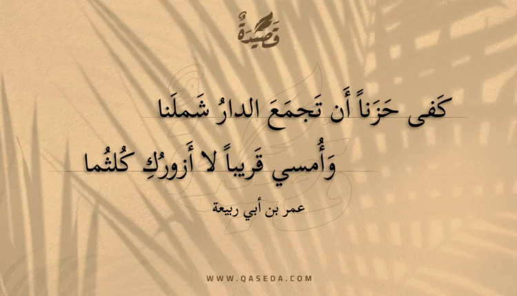 قصيدة كفى حزنا أن تجمع الدار شملنا