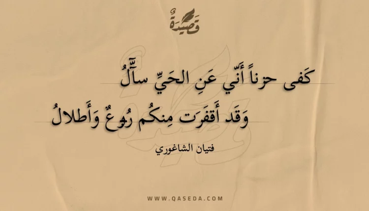قصيدة كفى حزنا أني عن الحي سآل