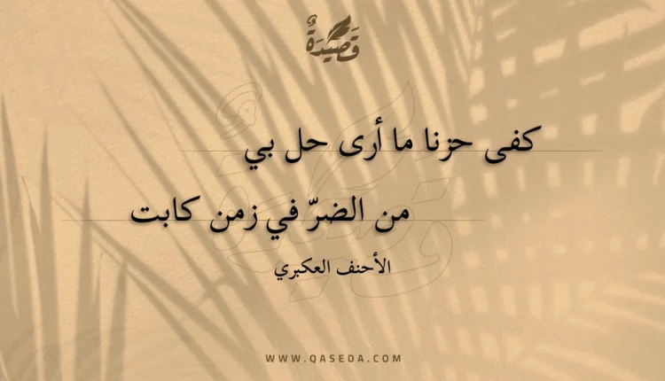 قصيدة كفى حزنا ما أرى حل بي