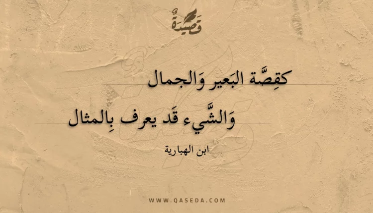 قصيدة كقصة البعير والجمال