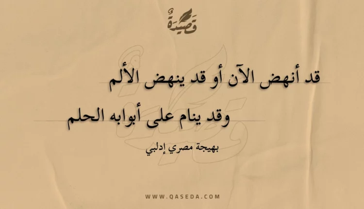 قصيدة كل البلاد أنا
