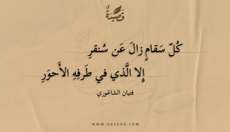 قصيدة كل سقام زال عن سنقر