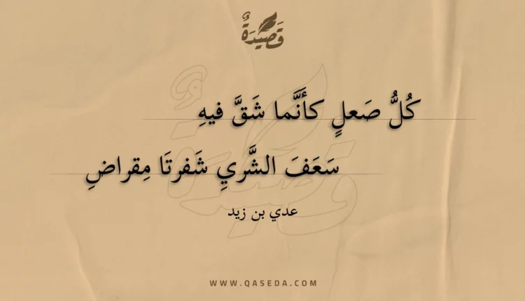 قصيدة كل صعل كأنما شق فيه
