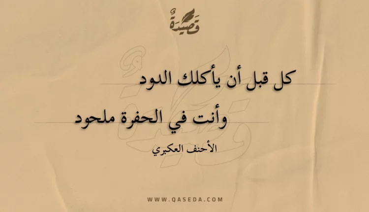 قصيدة كل قبل أن يأكلك الدود