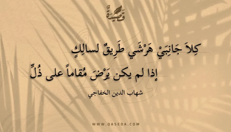 قصيدة كلا جانبي هرشي طريق لسالك