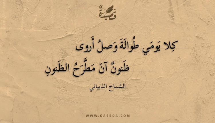 قصيدة كلا يومي طوالة وصل أروى