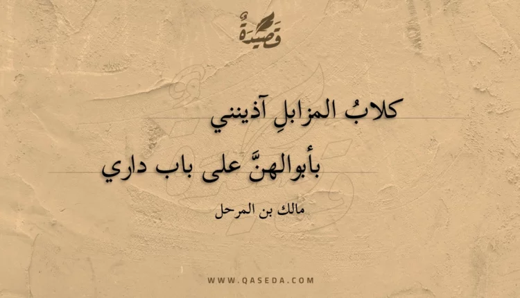 قصيدة كلاب المزابل آذينني