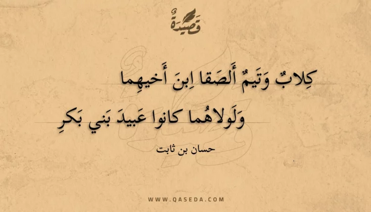 قصيدة كلاب وتيم ألصقا ابن أخيهما