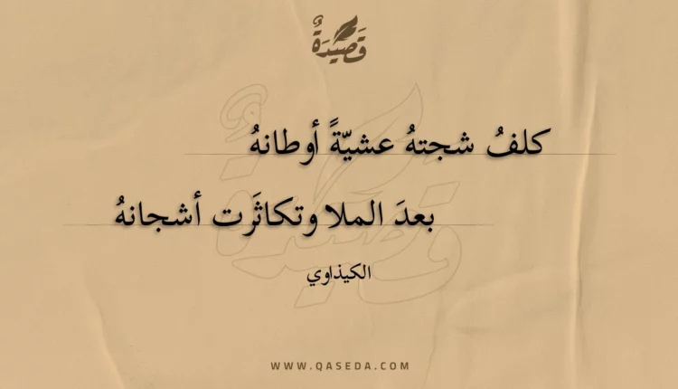 قصيدة كلف شجته عشية أوطانه