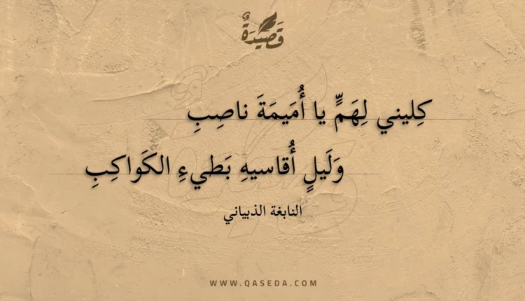 قصيدة كليني لهم يا أميمة ناصب