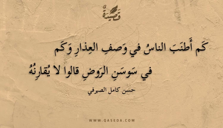 قصيدة كم أطنب الناس في وصف العذار وكم