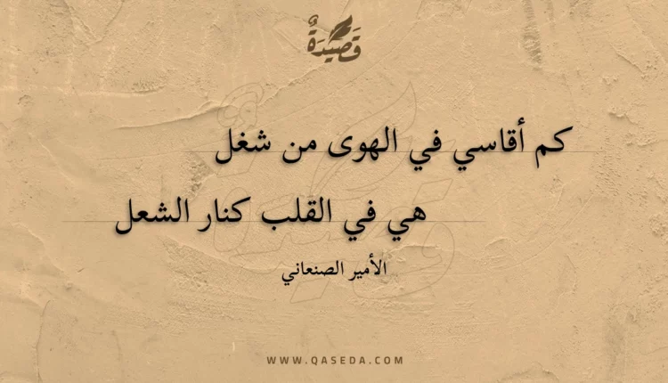 قصيدة كم أقاسي في الهوى من شغل