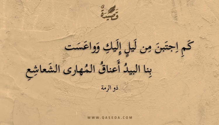 قصيدة كم اجتبن من ليل إليك وواعست
