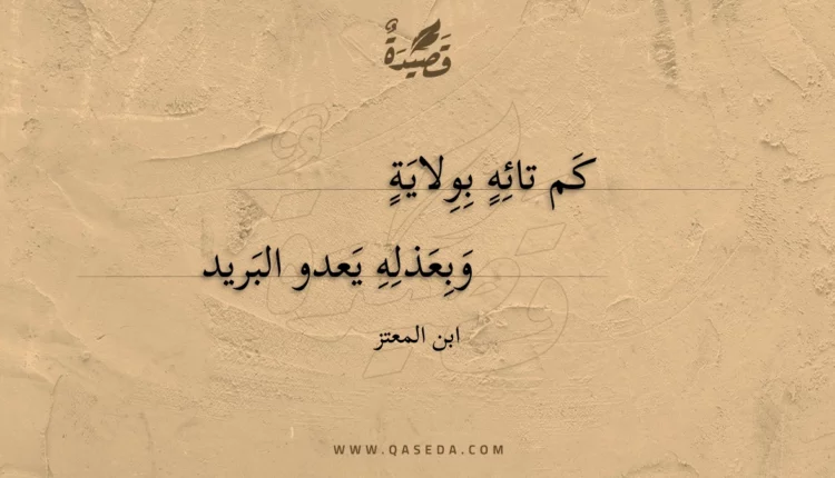 قصيدة كم تائه بولاية