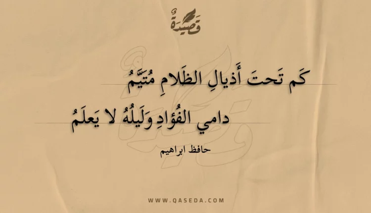 قصيدة كم تحت أذيال الظلام متيم