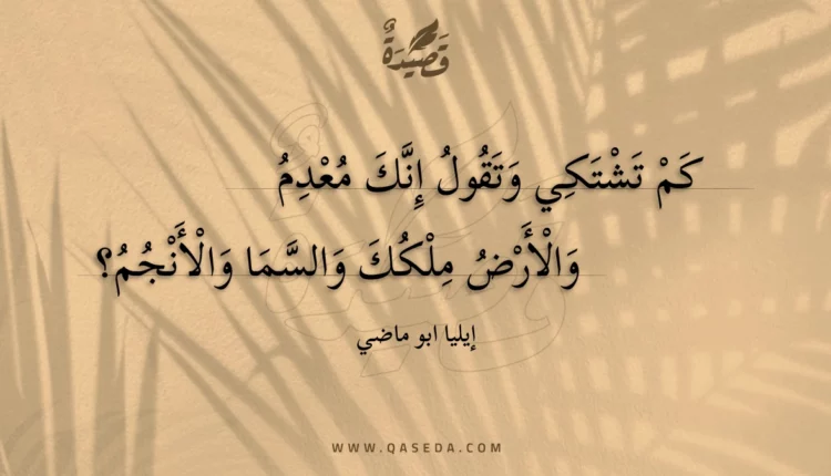 قصيدة كم تشتكي وتقول إنك معدم