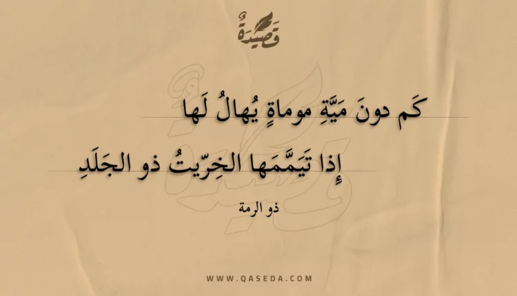 قصيدة كم دون مية موماة يهال لها