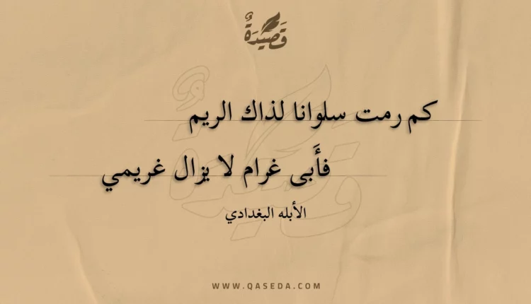 قصيدة كم رمت سلوانا لذاك الريم