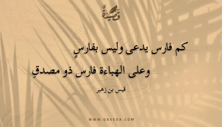 قصيدة كم فارس يدعى وليس بفارس