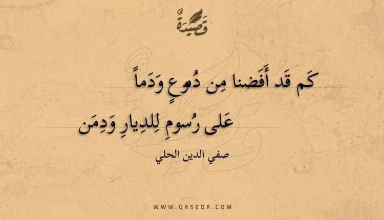 قصيدة كم قد أفضنا من دموع ودما