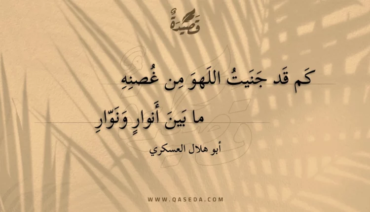 قصيدة كم قد جنيت اللهو من غصنه