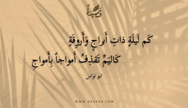 قصيدة كم ليلة ذات أبراج وأروقة